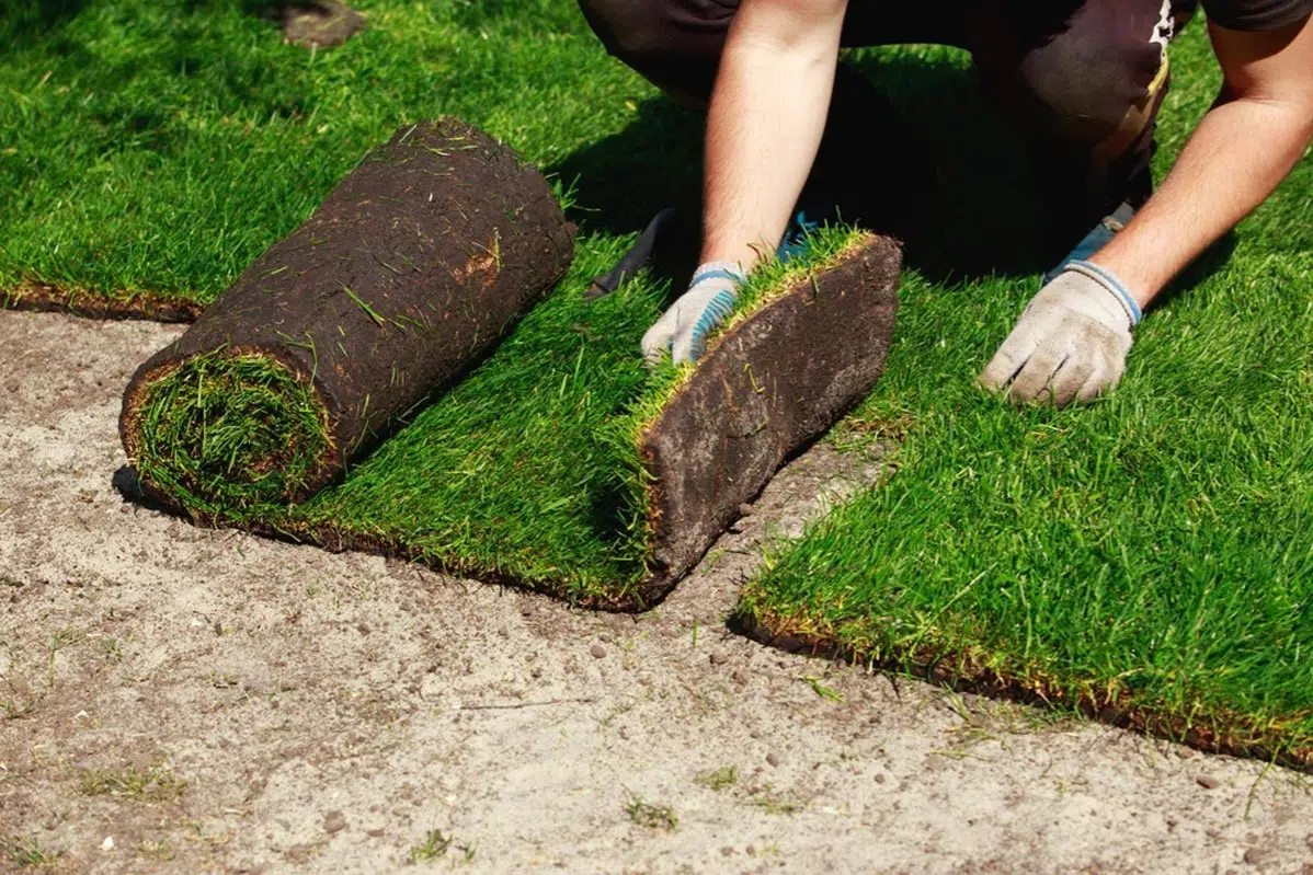 Sod installation services in Brooksville FL